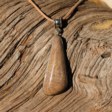 Load image into Gallery viewer, Petrified Wood Cabochon and Sterling Silver Pendant (SSP 1076)