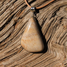 Load image into Gallery viewer, Petrified Wood Cabochon and Sterling Silver Pendant (SSP 1078)