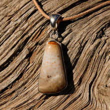 Load image into Gallery viewer, Petrified Palm Cabochon and Sterling Silver Pendant (SSP 1089)