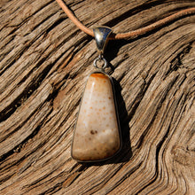 Load image into Gallery viewer, Petrified Palm Cabochon and Sterling Silver Pendant (SSP 1089)