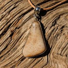 Load image into Gallery viewer, Petrified Palm Cabochon and Sterling Silver Pendant (SSP 1090)