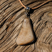 Load image into Gallery viewer, Petrified Palm Cabochon and Sterling Silver Pendant (SSP 1090)