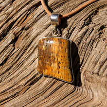 Load image into Gallery viewer, Petrified Palm Cabochon and Sterling Silver Pendant (SSP 1093)