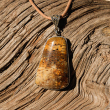 Load image into Gallery viewer, Petrified Palm Cabochon and Sterling Silver Pendant (SSP 1094)
