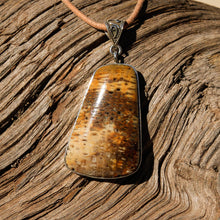 Load image into Gallery viewer, Petrified Palm Cabochon and Sterling Silver Pendant (SSP 1094)