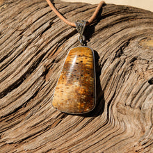 Load image into Gallery viewer, Petrified Palm Cabochon and Sterling Silver Pendant (SSP 1094)