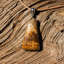 Load image into Gallery viewer, Petrified Palm Cabochon and Sterling Silver Pendant (SSP 1095)