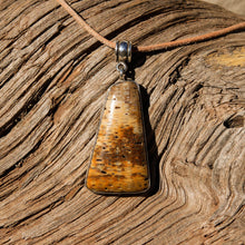 Load image into Gallery viewer, Petrified Palm Cabochon and Sterling Silver Pendant (SSP 1095)