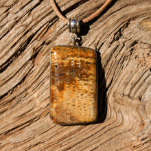 Load image into Gallery viewer, Petrified Palm Cabochon and Sterling Silver Pendant (SSP 1097)