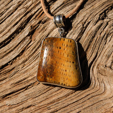 Load image into Gallery viewer, Petrified Palm Cabochon and Sterling Silver Pendant (SSP 1098)