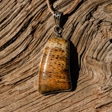 Load image into Gallery viewer, Petrified Palm Cabochon and Sterling Silver Pendant (SSP 1099)