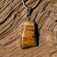 Load image into Gallery viewer, Petrified Palm Cabochon and Sterling Silver Pendant (SSP 1099)