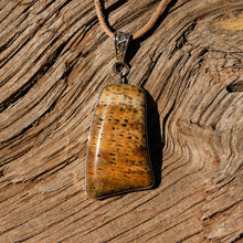 Load image into Gallery viewer, Petrified Palm Cabochon and Sterling Silver Pendant (SSP 1099)