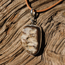 Load image into Gallery viewer, Dinosaur Skin Cabochon and Sterling Silver Pendant (SSP 1119)
