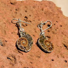 Load image into Gallery viewer, Ammonite and Sterling Silver Wire Wrap Earrings (SSWWE 1001)
