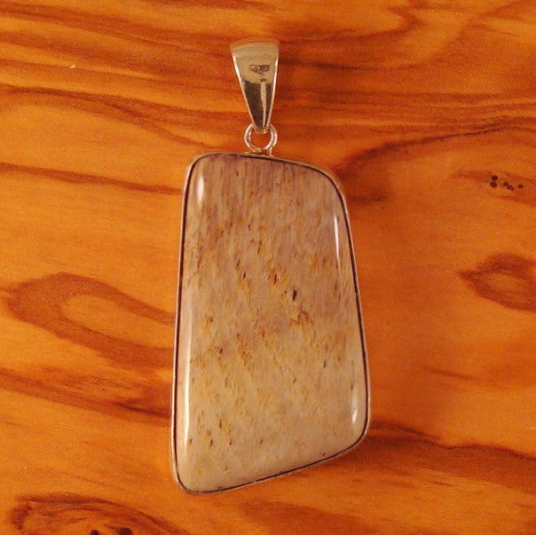 Petrified Wood Cabochon and Sterling Silver Pendant (SSP 1051)