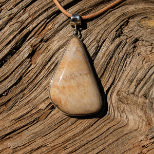 Petrified Wood Cabochon and Sterling Silver Pendant (SSP 1078)