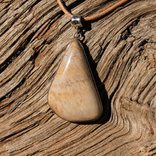 Load image into Gallery viewer, Petrified Wood Cabochon and Sterling Silver Pendant (SSP 1078)
