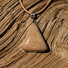Load image into Gallery viewer, Petrified Wood Cabochon and Sterling Silver Pendant (SSP 1079)
