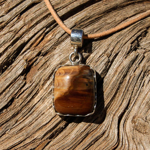 Petrified Wood Cabochon and Sterling Silver Pendant (SSP 1081)