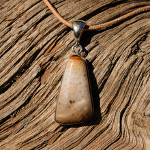 Load image into Gallery viewer, Petrified Palm Cabochon and Sterling Silver Pendant (SSP 1089)

