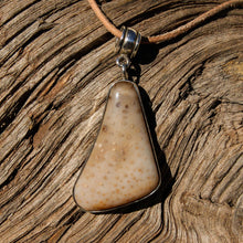 Load image into Gallery viewer, Petrified Palm Cabochon and Sterling Silver Pendant (SSP 1090)
