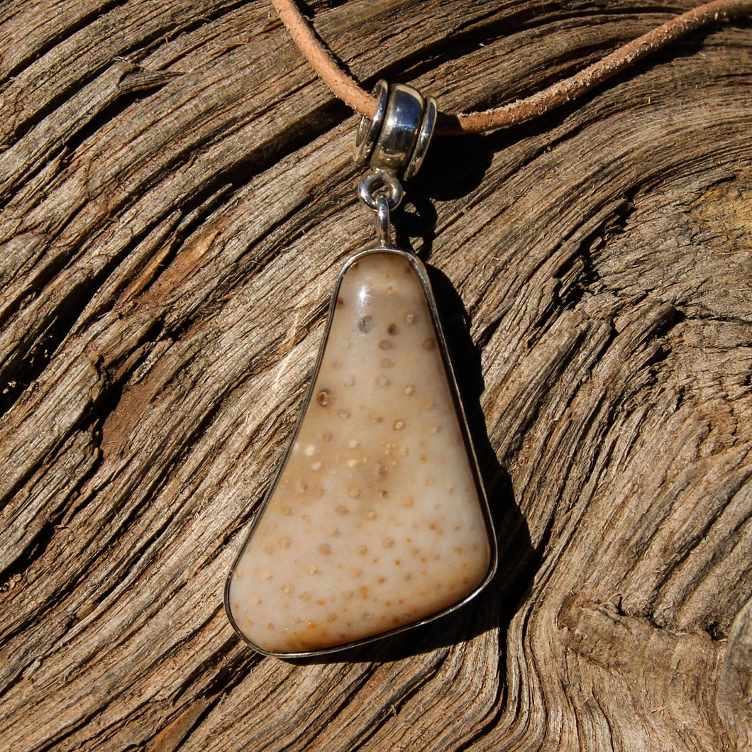 Petrified Palm Cabochon and Sterling Silver Pendant (SSP 1090)