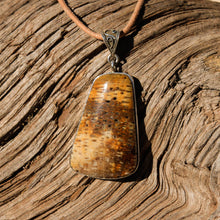 Load image into Gallery viewer, Petrified Palm Cabochon and Sterling Silver Pendant (SSP 1094)

