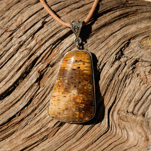 Petrified Palm Cabochon and Sterling Silver Pendant (SSP 1094)