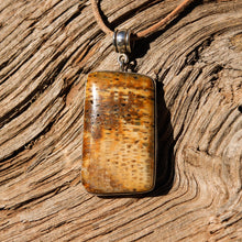 Load image into Gallery viewer, Petrified Palm Cabochon and Sterling Silver Pendant (SSP 1097)
