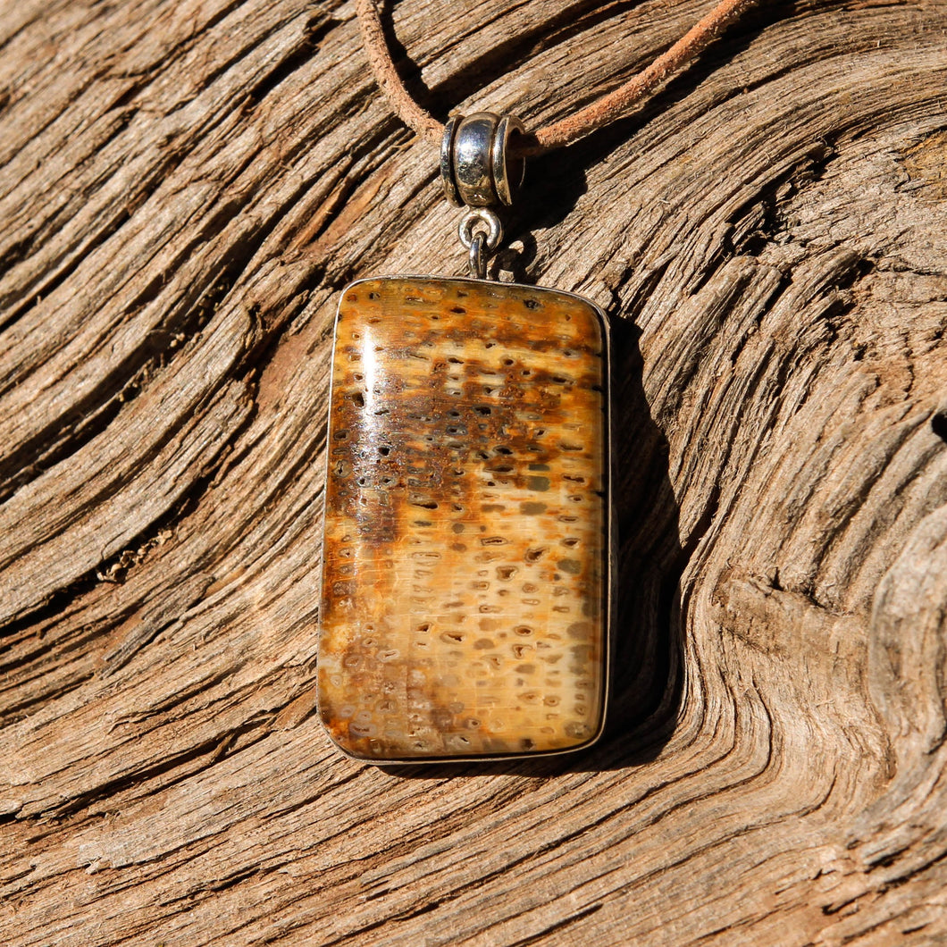Petrified Palm Cabochon and Sterling Silver Pendant (SSP 1097)