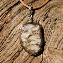 Load image into Gallery viewer, Dinosaur Skin Cabochon and Sterling Silver Pendant (SSP 1119)
