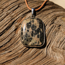 Load image into Gallery viewer, Orbicular Jasper Cabochon and Sterling Silver Pendant (SSP 1122)

