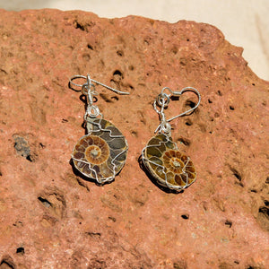 Ammonite and Sterling Silver Wire Wrap Earrings (SSWWE 1001)